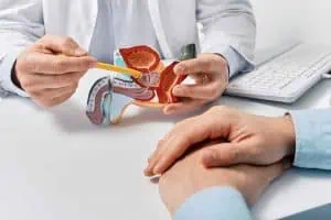 Ein Arzt erklärt einem Patienten die Prostata anhand eines Modells.